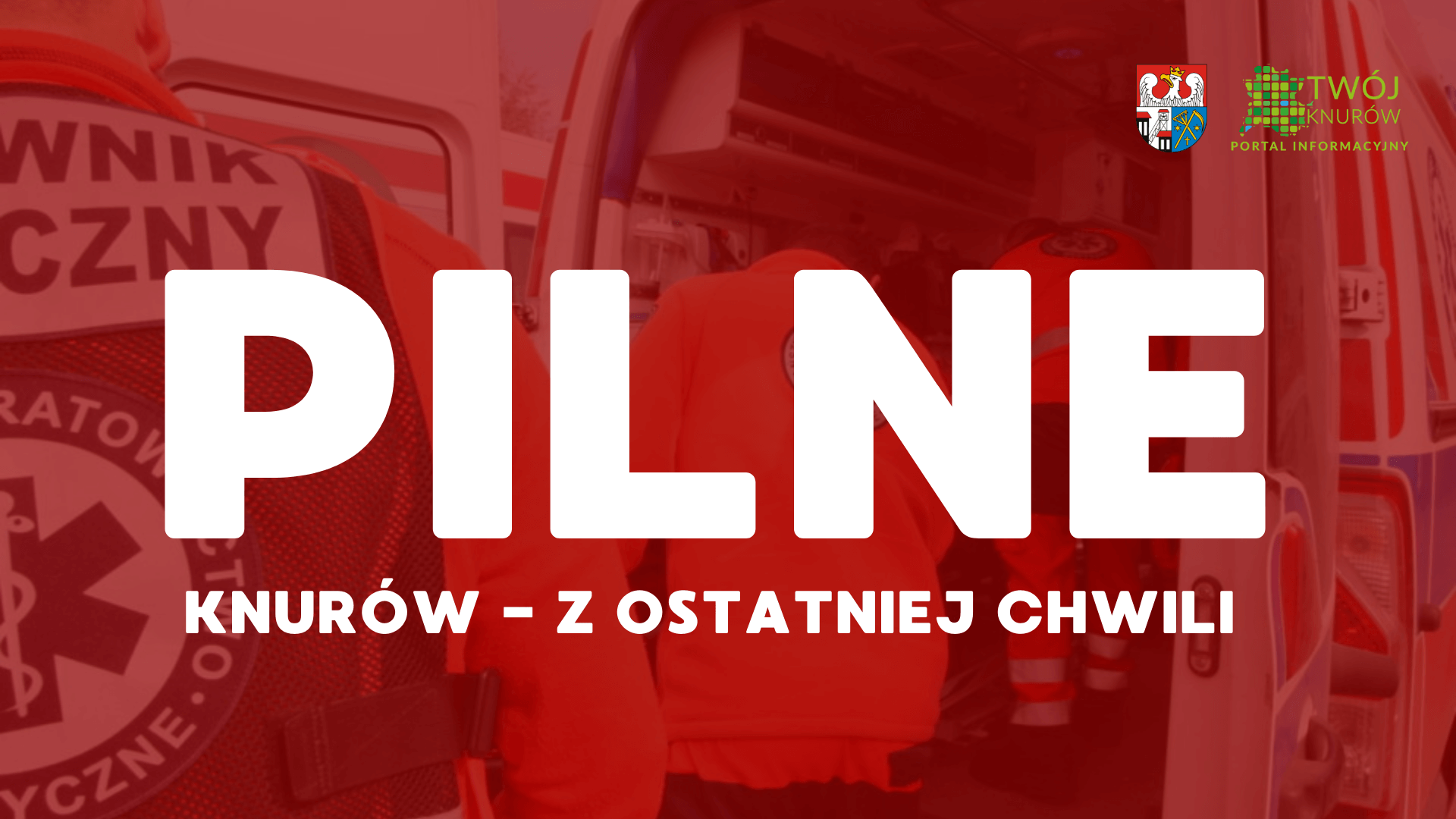 Pilne knurów nowe