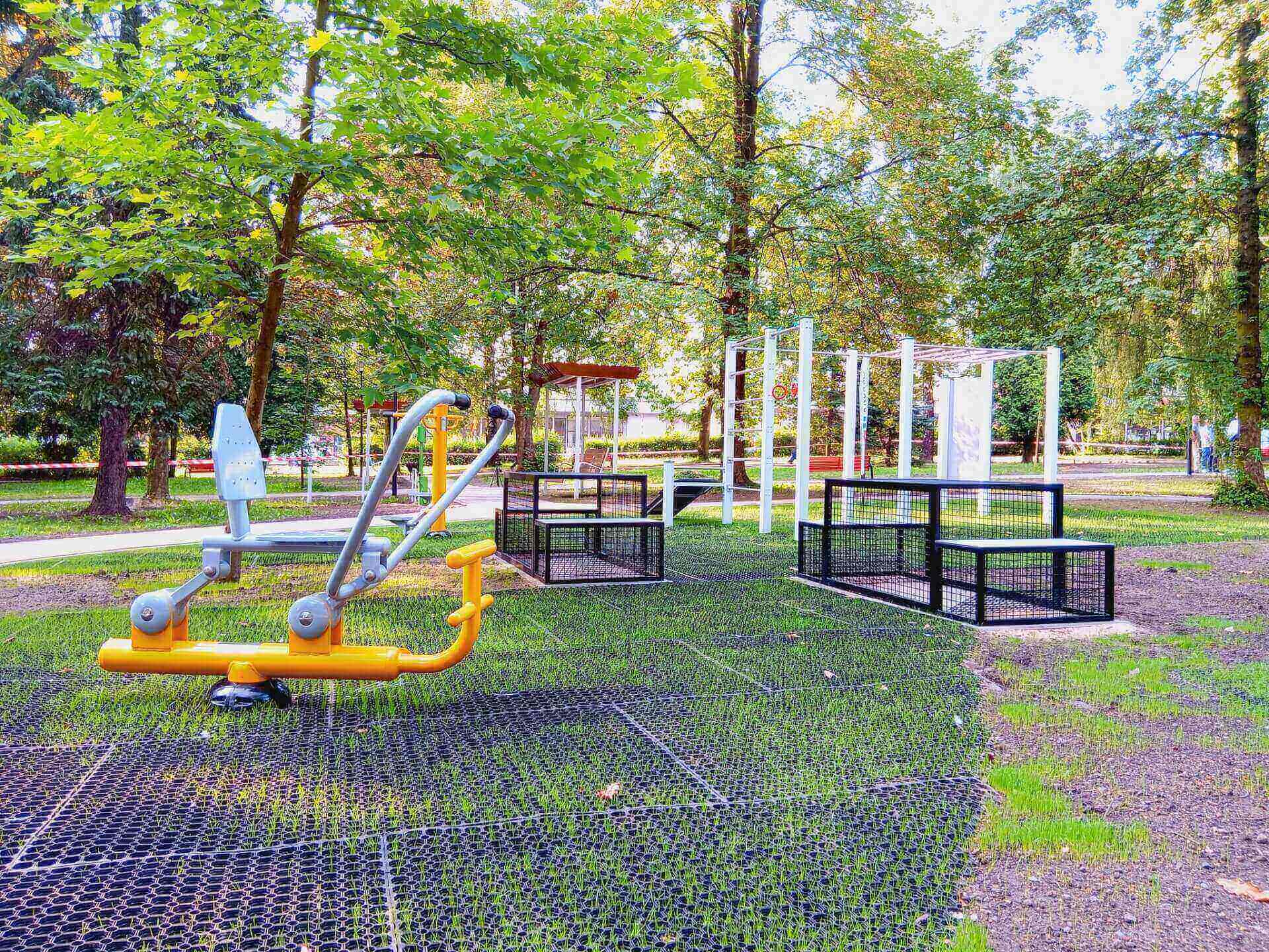 Park Lignozy w Szczygłowicach